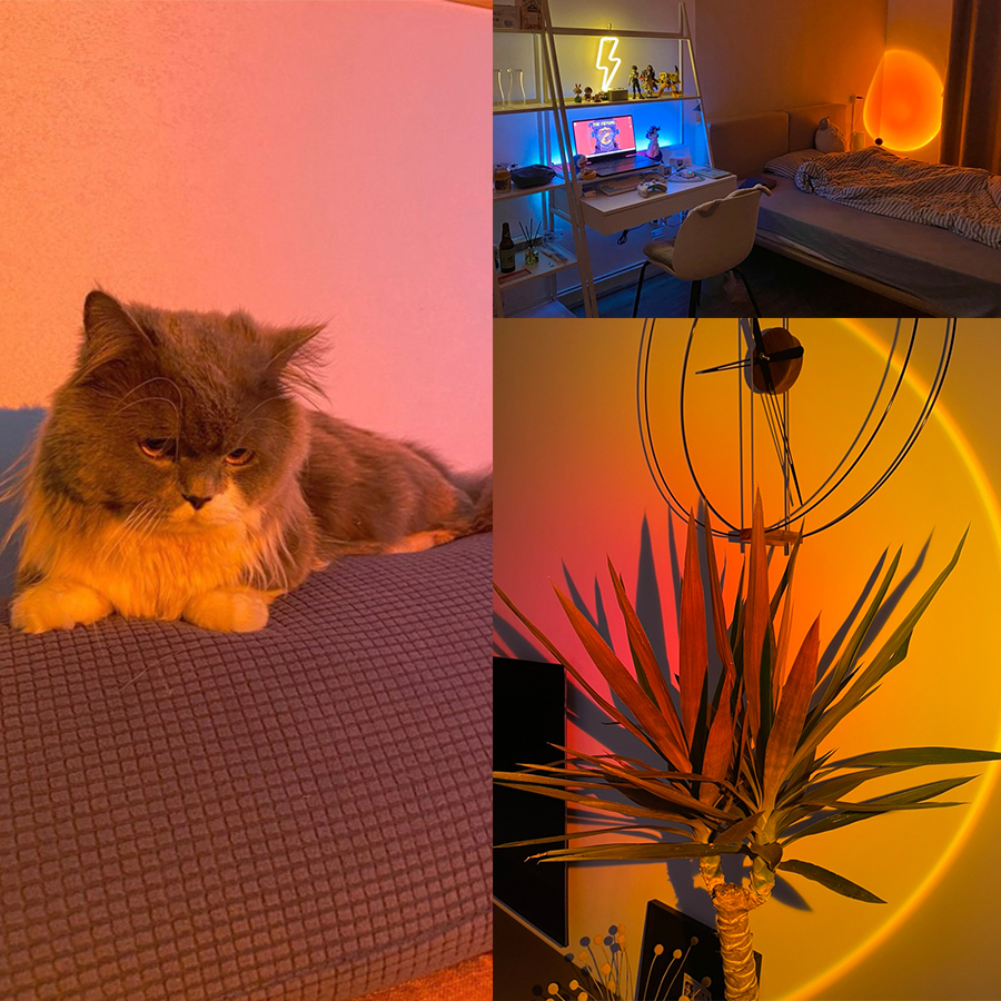 Smart Sunset Lamp Tuya LED Nig - Photography Lighting App บทวิจารณ์และราคา