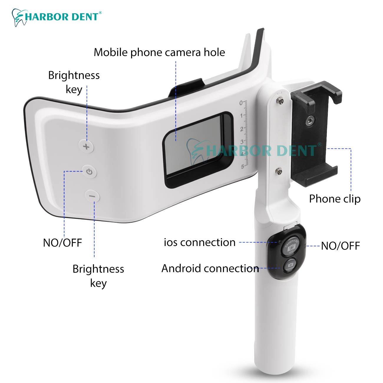 Factory Direct Dental Photogra - Photography Lighting Direction บทวิจารณ์และราคา