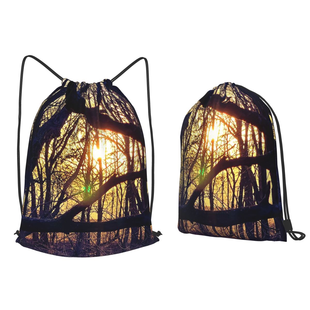 Forest Light At Sunset Nature  - Lighting In Photography Book บทวิจารณ์และราคา