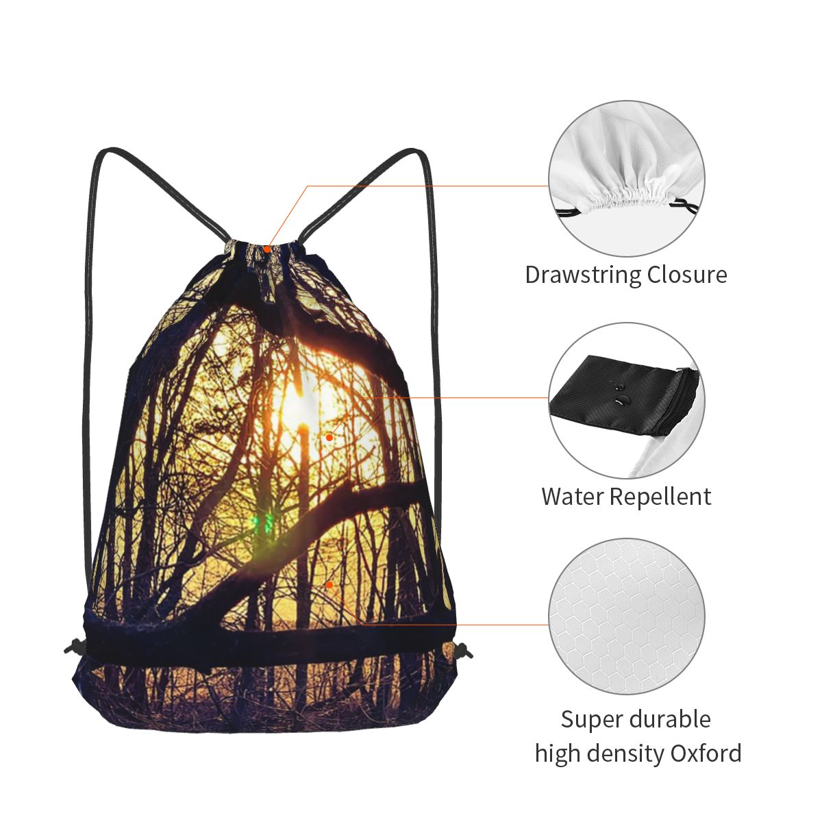 Forest Light At Sunset Nature  - Lighting In Photography Book บทวิจารณ์และราคา