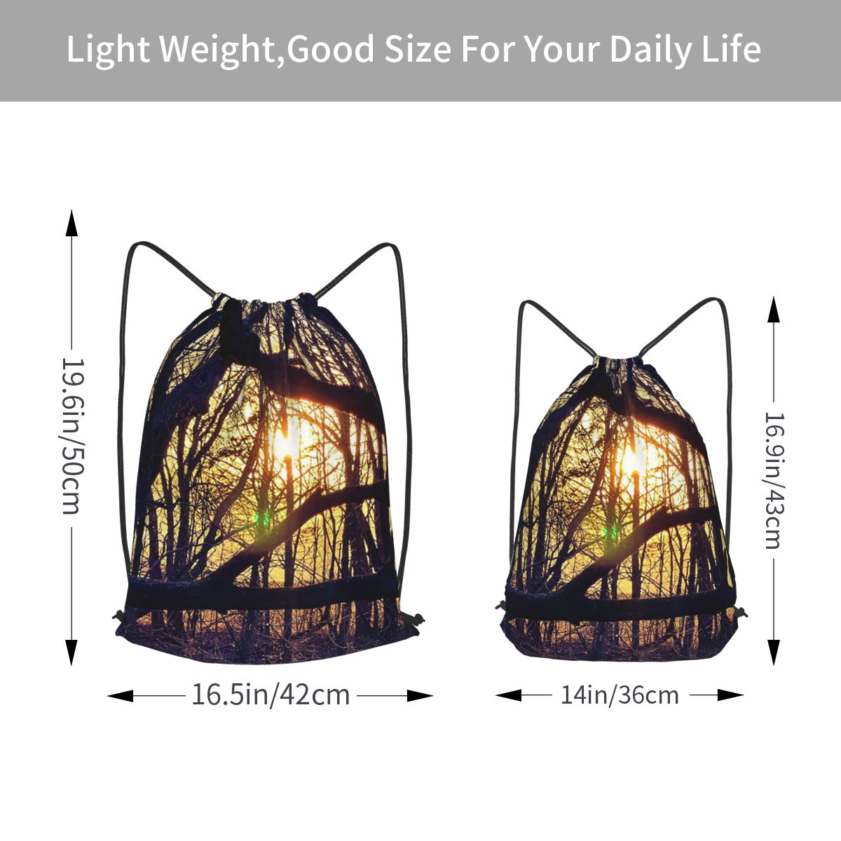 Forest Light At Sunset Nature  - Lighting In Photography Book บทวิจารณ์และราคา