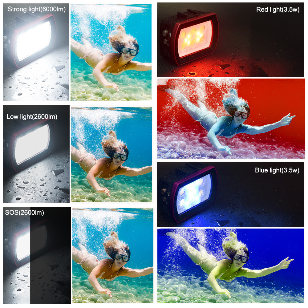Seafrogs Aluminum LED Diving L - Photography Lighting Brand บทวิจารณ์และราคา